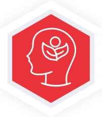 Transformation  Not Treatment